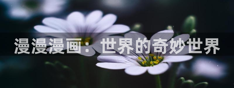羞羞歪歪漫画sss免费