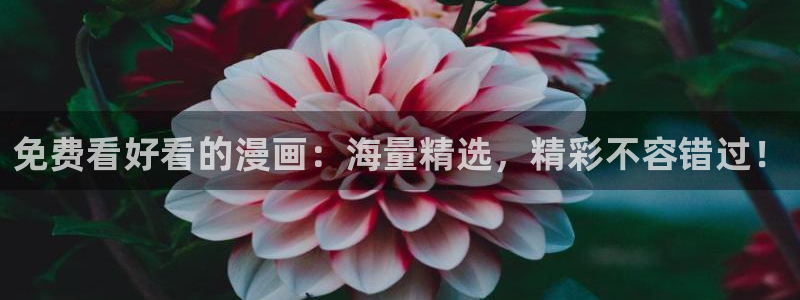 歪歪漫画 免费观看