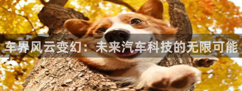 歪歪漫画全网